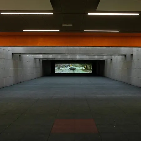 Target World Hunter's 酒店 *