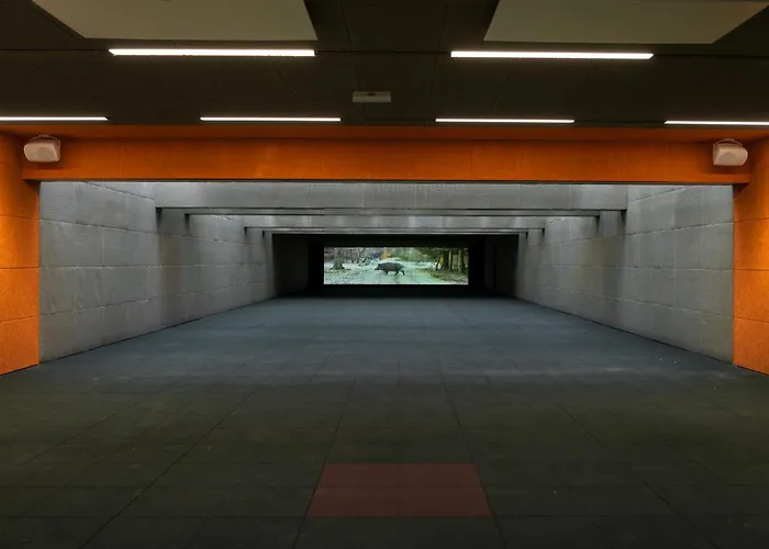 Target World Hunter's Hotel *